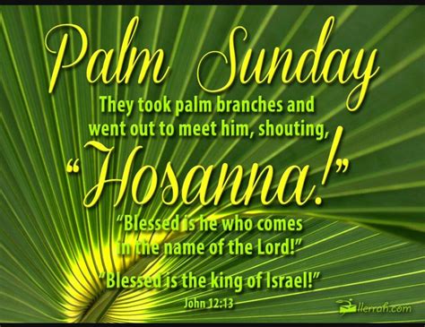 Holy Week Timeline † † † Day 1 Palm Sundays Triumphal Entry Beginning
