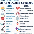 Microblog: Top 10 Global Cause of Death across the Centuries ...