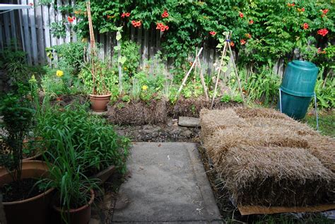 Simple Green Frugal Co Op A Beginners Guide To Straw Bale Gardening