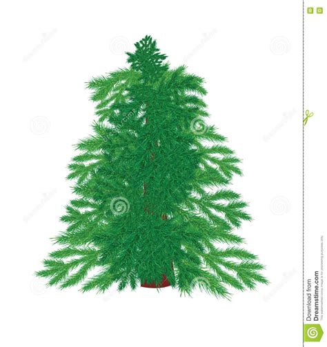 We did not find results for: Christmas Tree On A White Background Without Decorations ...