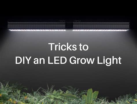 Things You Dont Know When Diy Led Grow Lights
