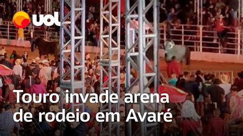 Touro Invade Arena De Rodeio Antes De Show De Ana Castela Em Avar