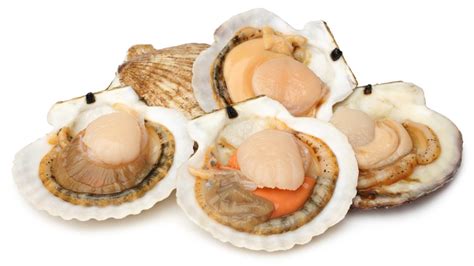 Discovernet 14 Tips You Need When Cooking With Scallops
