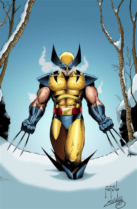 Wolverine On The Snow By Swave18 On Deviantart