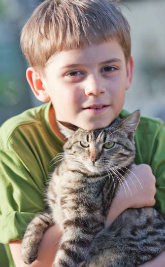 Little Boy With Cat Stock Photo Download Image Now Istock
