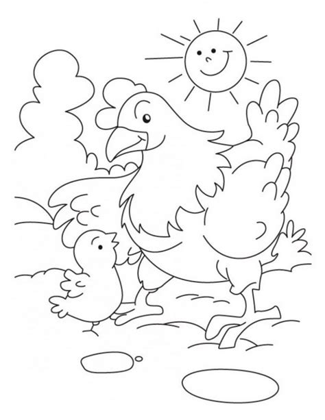 Pollito Para Pintar Dibujos De Pollitos Para Colorear Y Pintar Images And Photos Finder