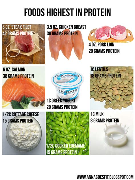 Protein is necessary for a healthy body. foods high in protein | High protein recipes, Nutrition, Healthy eating