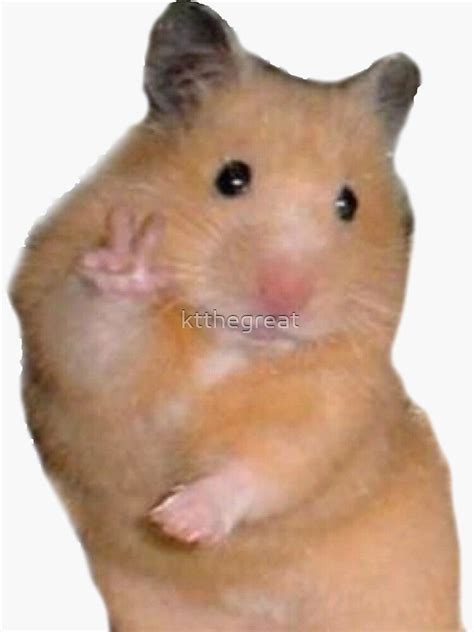 Peace Hamster Meme Sticker By Ktthegreat In 2020 Funny