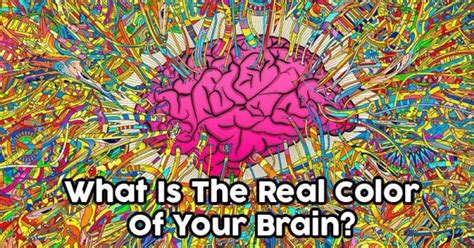 What Is The Real Color Of Your Brain Getfunwith