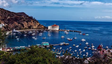 Quick Guide To Catalina Island Drive The Nation Cool Places To