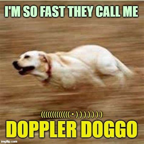 Doppler Doggo Imgflip