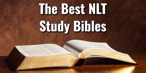 The 12 Best Nlt Study Bibles New Living Translation For 2024lords
