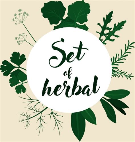 Herbal Background Various Green Icons Decoration Vector Icon Free