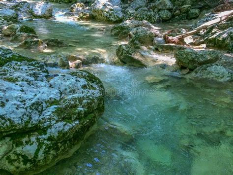 Crystal Clear Water In Mountains Mountain Stream In Forest Stock Image