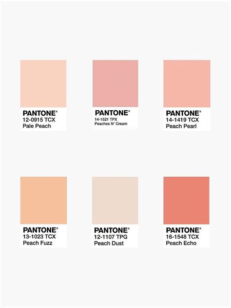 Peach Color Square Stickers Sticker By Rachziggs In 2021 Pantone