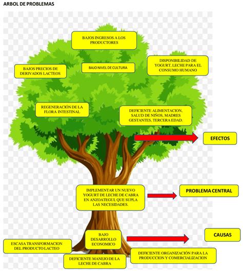 Arbol De Problemas Ejemplos Causas Y Efectos Ejemplo Sencillo Images