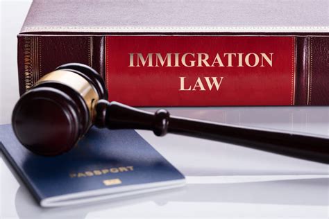 What Is An Immigration Lawyer Ptdla
