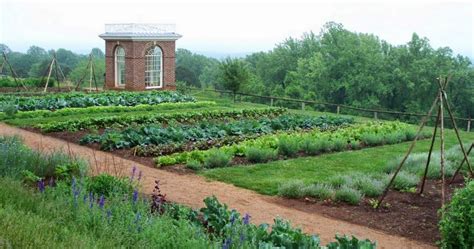 The Recreation Of The Monticello Vegetable Garden Began In 1979 And