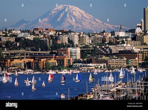 Usa Washington Seattle Summer Cityscape Features Lake Union Stock