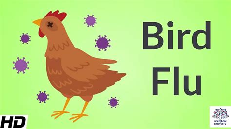 Bird Fluavian Influenza Causes Signs And Symptoms Diagnosis And