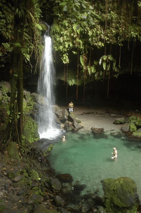 dominica emerald pool is one of the major tourist attractions on dominica