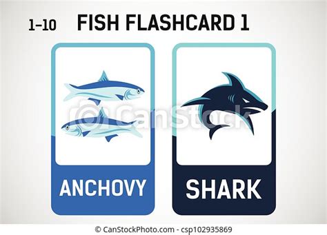 Fish Flashcards For Kids Educational Cards For Preschool Printable
