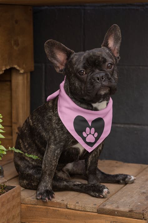 Paw Svg Dog Paw Svg Paw Print Outline Paw Silhouette - vrogue.co