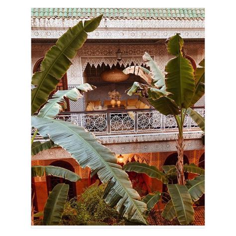 riad jardin secret marrakech riadjardinsecret photos et vidéos instagram marrakech plant