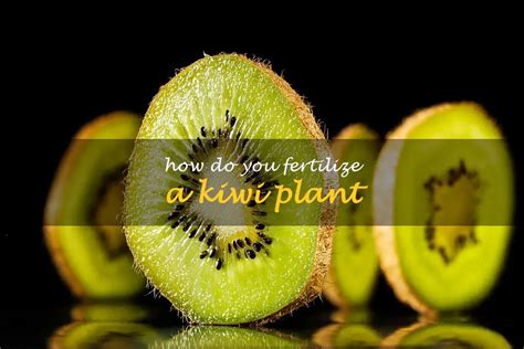 How Do You Fertilize A Kiwi Plant Shuncy