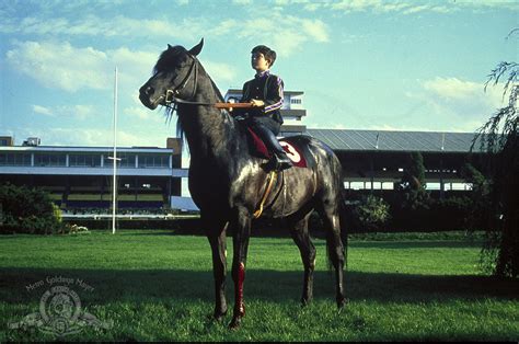 The Black Stallion 1979