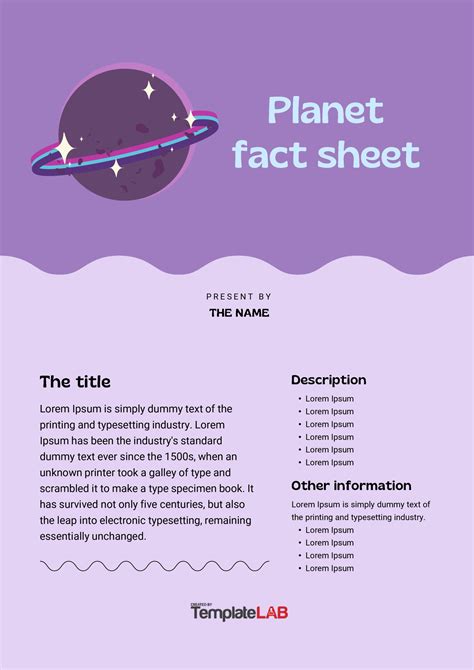 Beautiful Fact Sheet Templates Examples And Designs