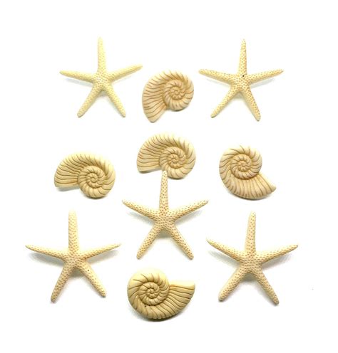 New Sea Shell Beach Beauties Collection Buttons Shank Flat Back Choice