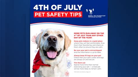 Bissell Keep Pets Safe This Fourth Of July