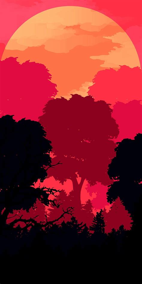 Minimalist Forest Sunset Wallpapers Top Free Minimalist Forest Sunset