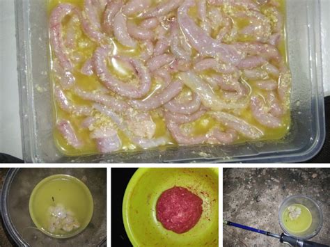 Umpan serangga ini lebih mudah. Cara Setting Umpan Ikan Keli - Umpan