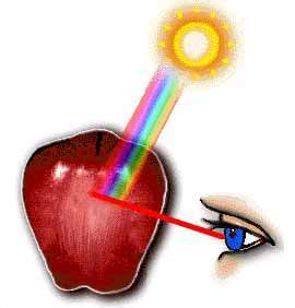 If some of that light enters your eyes, it hits. Electromagnetic Radiation - 4