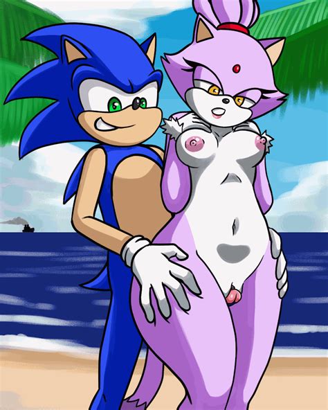 Rule 34 Animated Anthro Blaze The Cat Breasts Clitoral Clitoris Clothing Duo Erection