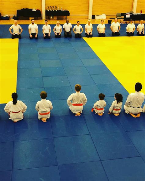 Private Karate Classes With Sensei Dmitriy Kenshukai Karate