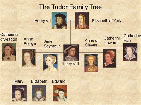 Royal family tree dating back to queen victoria (image: The Tudors ppt download (With images) | Queen elizabeth ...