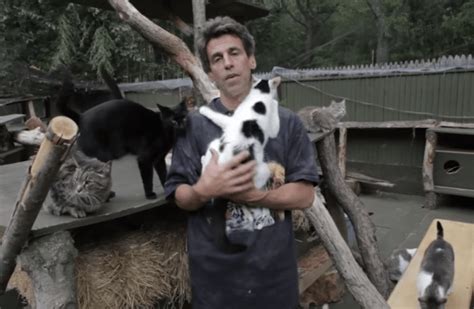 Man Creates A Sanctuary For Homeless Cats In Honor Of The Son He Lost