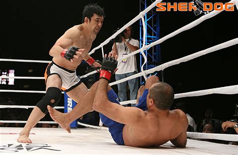 Sherdogs Top 10 Greatest Mma Grapplers Number 8