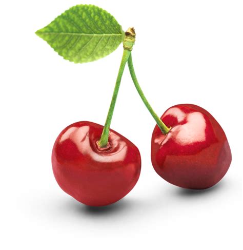 Cherry Clipart Red Object Picture 348495 Cherry Clipart Re Daftsex Hd