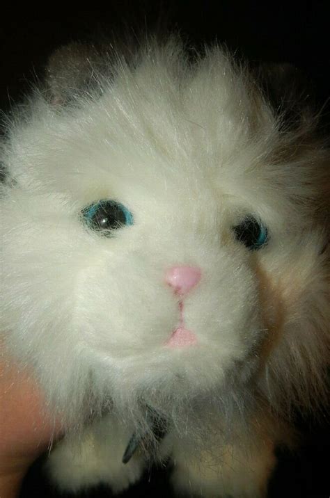 Little Live Pets White Cat Cuddles My Dream Kitten Interactive Plush