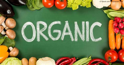 Organic Food What Research Says About The Health Benefits