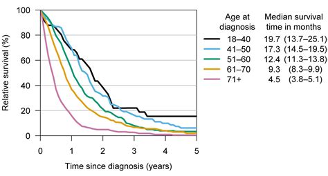 Challenges In Glioblastoma Studies — Cmed Research