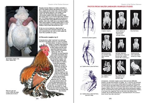 genetics of chicken extremes book