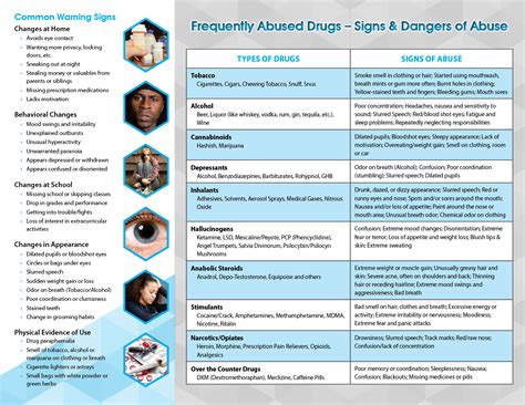 Warning Signs Of Drug Abuse Pamphlet Primo Prevention