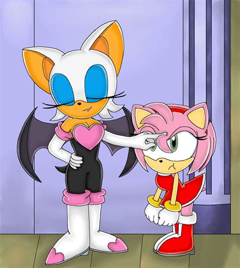 Amy Vs Rouge Images Amy Vs Rouge Wallpaper And Background Photos 29868217