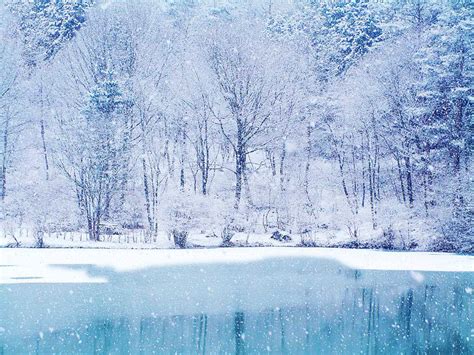 Free Download Pics Photos Wonderful Winter Scene Hd Desktop Background