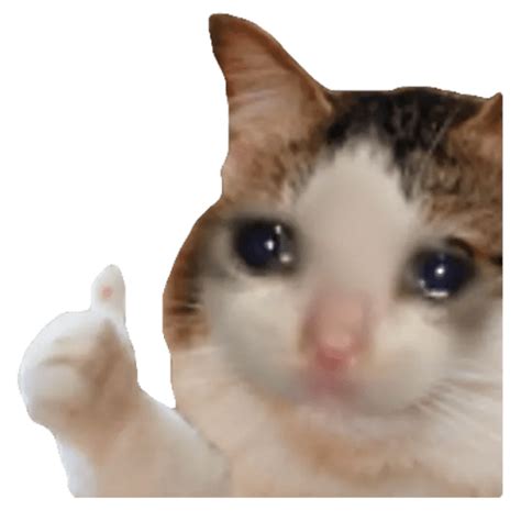 Sad Cat Meme Transparent Free Png Png Play